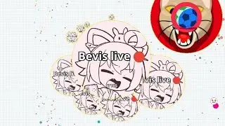 agar.io live stream | AP South East | CODE is on the screen