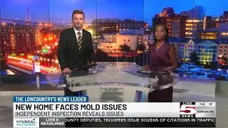Toxic Mold Exposure Stories: In The Media | PART 177