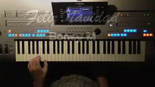 Feliz Navidad - Boney M, Cover mit Style gespielt auf Tyros 4,