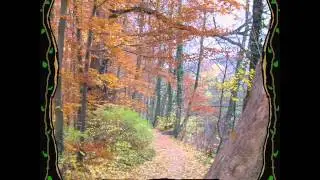 Folk Metal - Linnalapsi - Flammenheim