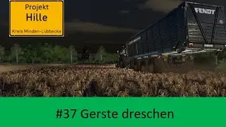 LS19 Hille #037 Gerste dreschen | Timelapse | Farming Simulator 2019