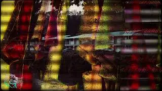 Performance: Sundae - The Elements Of Sound