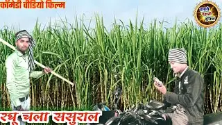 रघू चला ससुराल // देहाती कॉमेडी // #हमारी_देहाती_दुनियां #कहानियां #कॉमेडी 