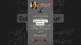 Kill the self to soul....#quotes#pakistanipoet#fypシ゚viral