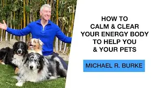 How to Calm and Clear Your Energy Body to Help You and Your Pets