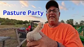 Pasture Party! The Meat Chickens' Big Move