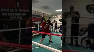 Andy Ruiz Next Fight ?