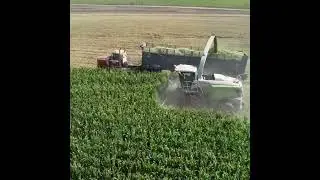 Silage Chopping Drone Footage