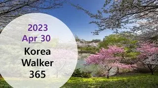 [4K] Korea Walker 365 