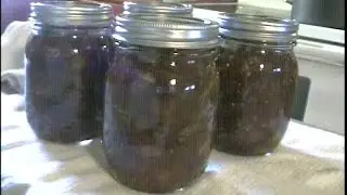 Green Tomato Mincemeat Pie Filling