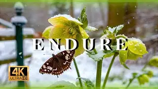 Background Music for Healing the Soul: Relaxation with Positive Energy and Gentle Melodies