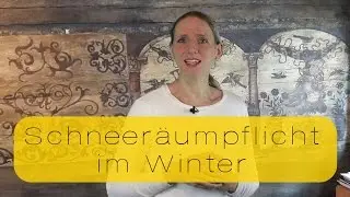 Schneer&auml;umpflicht im Winter