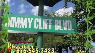 Secrets of Rastafari on sale on the Jimmy Cliff Blvd in Montego Bay