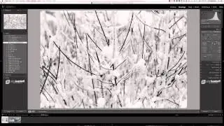 Lightroom Snow Preset