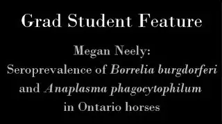 Megan Neely: Seroprevalence of Borrelia burgdorferi and Anaplasma phagocytophilum in Ontario horses