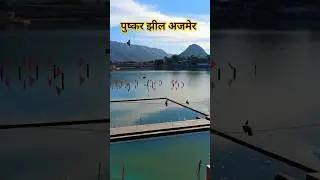 Pushkar Lake Ajmer | Pushkar ji Ajmer | Pushkar Lake Ajmer Rajasthan #pushkar #pushkarrajasthan