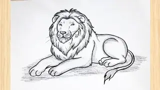 How To Draw A Lion Easy Step By Step | Lion Drawing