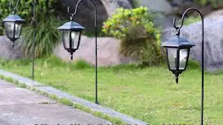 Maggift 34 Inch Hanging Solar Lights Dual Use Shepherd Hook Lights with 2 Shepherd Hooks