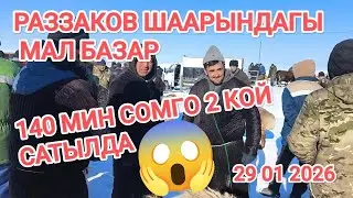 РАЗЗАКОВ ШААРЫНДАГЫ МАЛ БАЗАР 29 01 2026