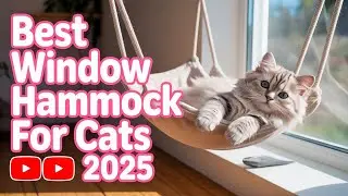 Window Hammock for Cats (2025) || AMOSIJOY Cordless Cat Window Perch