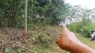 Di jual lahan lt 8000mtr st girik SPPT jual cepat 60rb turun harga pas buat ternak kebun 