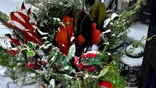 December 6 to 8 ... Indigo.  Shortbread cookies. December 6th in history. Front greenery. Norman!!!