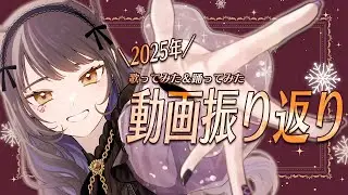【振り返り】2025年もたのしかった～！※実写動画も出ます【陽葵ぜろ / 個人Vtuber】
