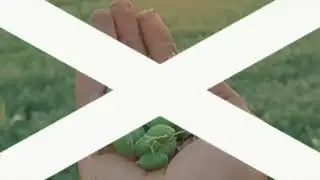 #karnataka #youtubeshorts #treding #uttarkarnataka #hubli #farming #agriculture @sunfarming7533  