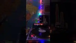 Live from Lizard Acres