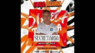 SECRET&Aacute;RIA - NELITO E SEU VIOL&Atilde;O  - CD 2025 @JR_STUDIO_PRODUTORA_DE_&Aacute;UDIO 