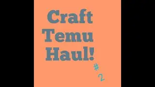 Temu Haul #2