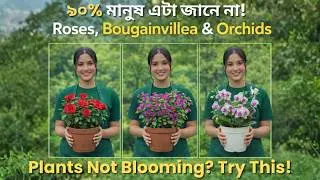 Grow Roses, Bougainvillea & Orchids at Home | Easy Gardening Hacks That Work