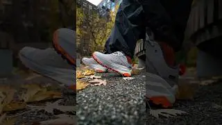 Сухость от GORE-TEX. Цепкость от Vibram Megagrip. Пространство от Altra.