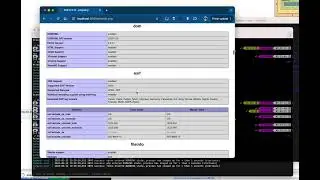 ServBay 1-click deploy demo