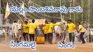 నరసరావుపేట గ్రామం  జూనియర్ 9వ జత