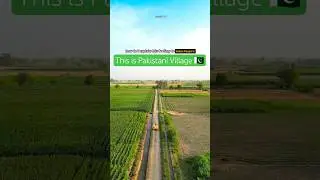 Explore Pakistani Village 🇵🇰 #trending #explorepakistan #pakistan #villagelife #shorts #punjab