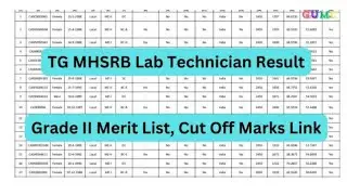 Результаты MHSRB Telangana Lab Technica II Grade 2024 | Проходные баллы, список достижений
