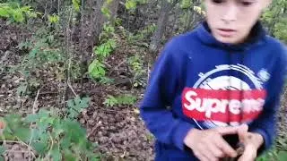 За грибами. А леса нет🤦‍♀️🤷‍♀️..
