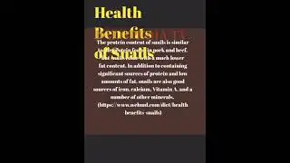 Health Benefits of Snails