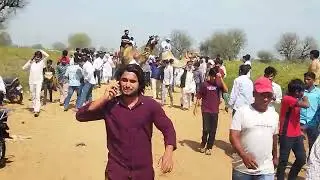 कनीना ऊंट दौड़2025 // Kanina Camel Race Hariyana #camel_racing #horserace #pashumela2025 #fair