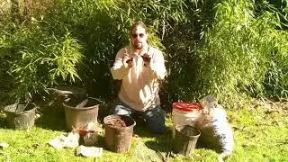 Forcing Bulbs The Easy Way for Late Winter Color