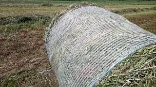 Пресуем сенаж. Настроили пресс Кроне 125.