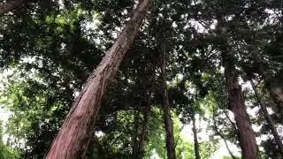 姫路王　タロリンへ