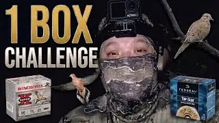 The Final Dove Hunt (1 Box Challenge)