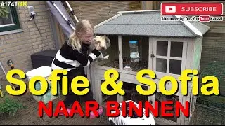 KONIJNEN MOGEN BINNEN OVER WINTEREN. Sofie en Sofia lekker zacht. #1741
