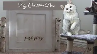 DIY:HIDDEN CAT LITTER BOX
