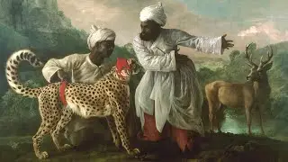 Ismael Mwanafunzi/ Byinshi biteye ukwibazaho n'ubwoba ku bidasanzwe bigaragara ku nyamanswa rutura