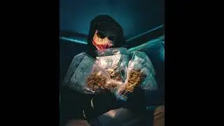 DEXTER HMC - Rockeur