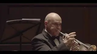 Ode to Jerusalem - Aviya Kopelman