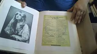 Book of Shadows